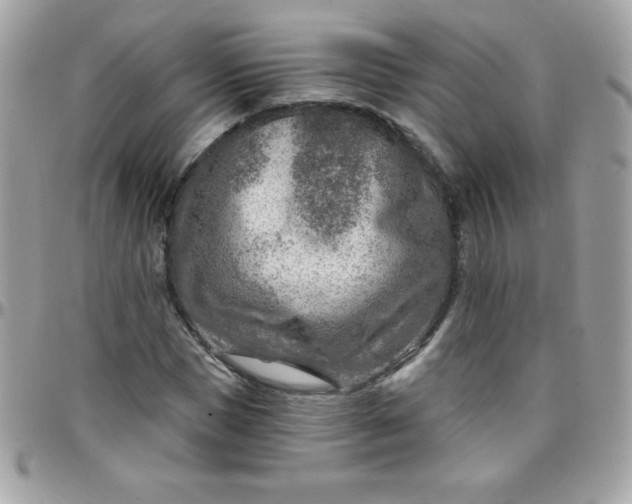 X0000097750921200803211648