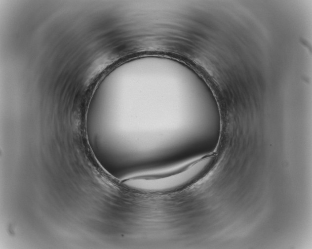 X0000097750922200803211648