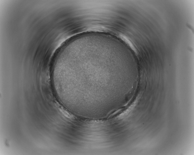 X0000097750923200803211648