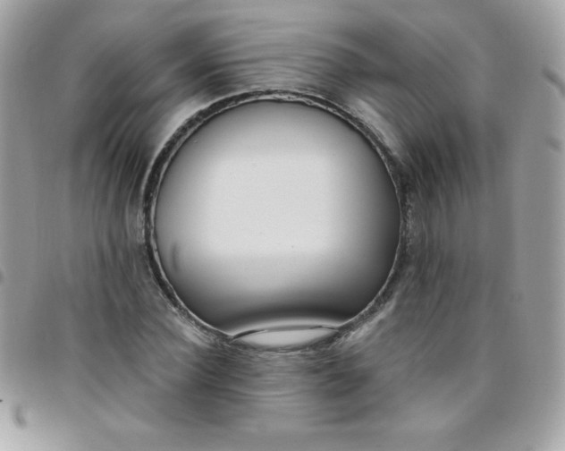 X0000097750924200803211648