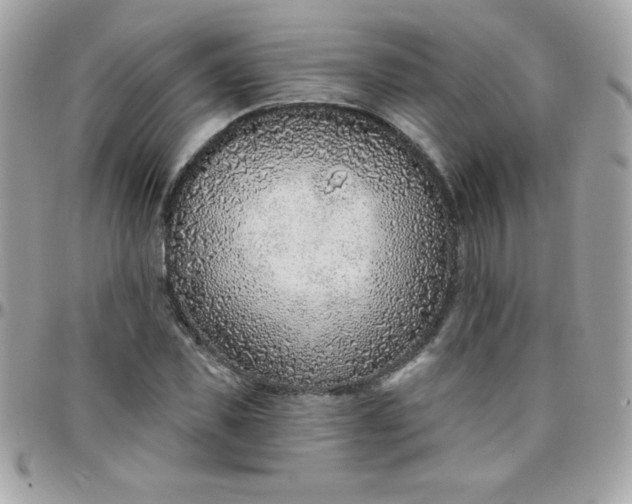 X0000097750925200803211648