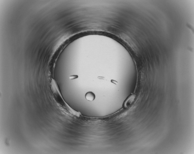 X0000097750926200803211648