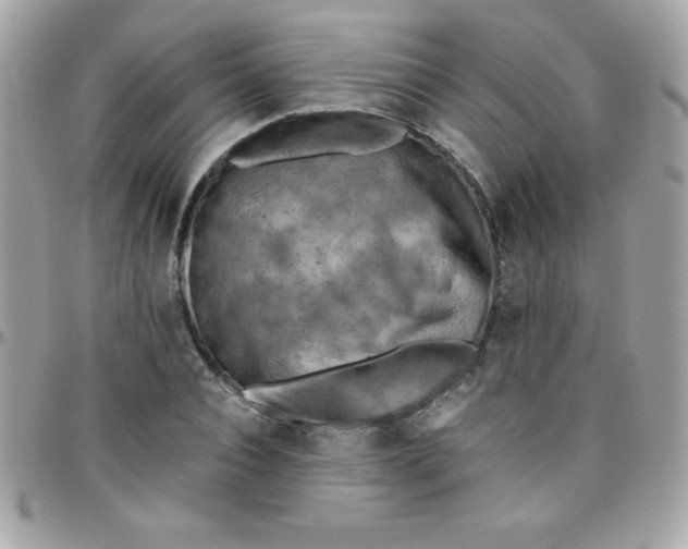 X0000097750928200803211648