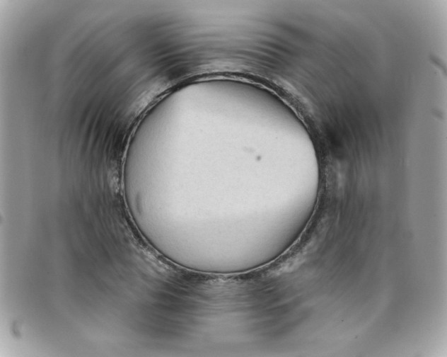 X0000097750929200803211649