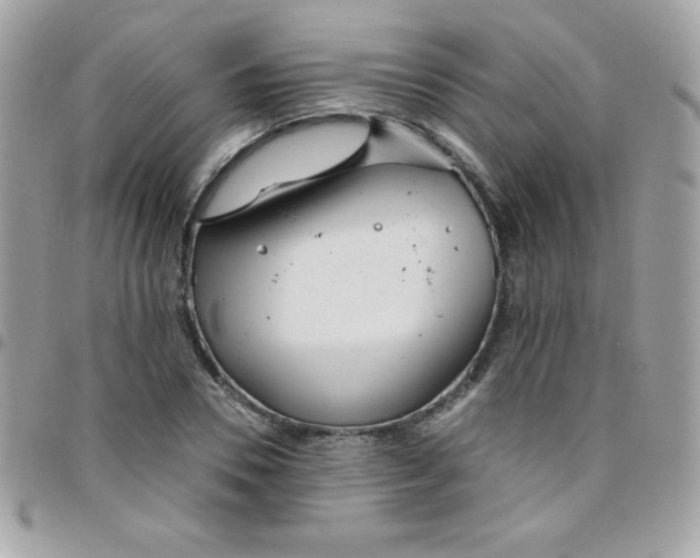 X0000097750930200803211649