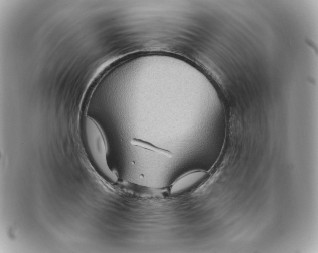 X0000097750932200803211649