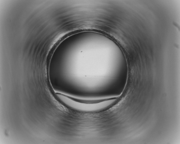 X0000097750934200803211649