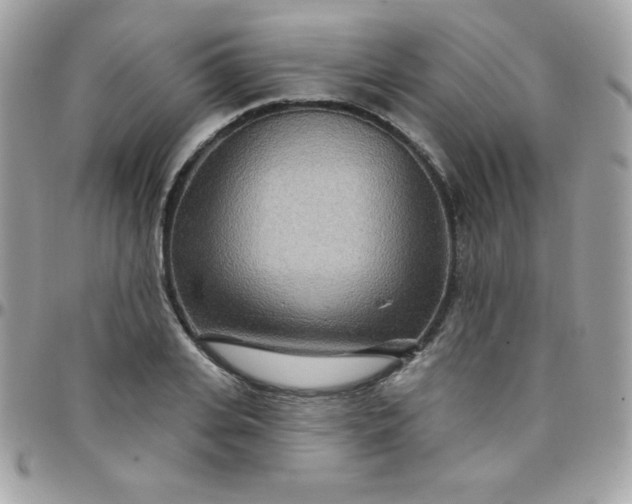 X0000097750935200803211649