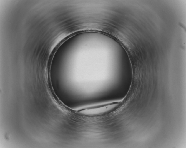 X0000097750936200803211649