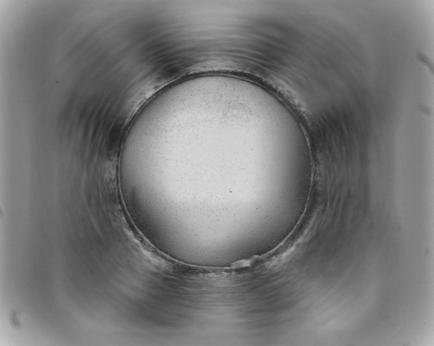 X0000097750937200803211649