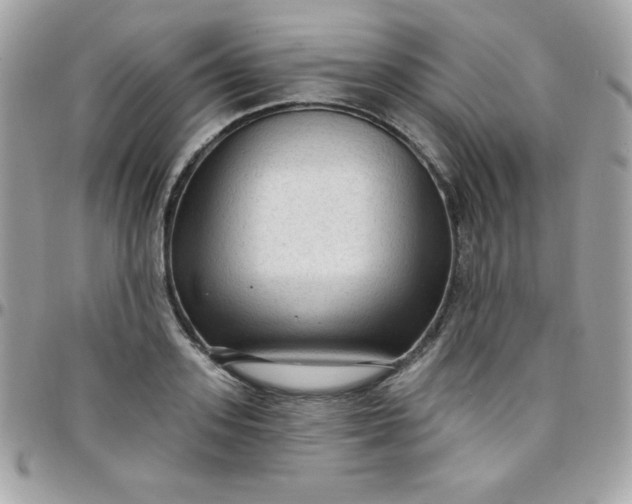 X0000097750939200803211649