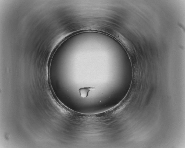 X0000097750940200803211649