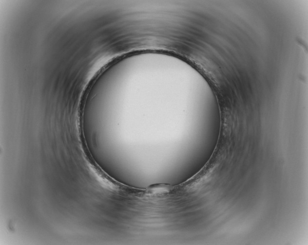 X0000097750942200803211649