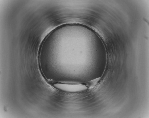 X0000097750943200803211649