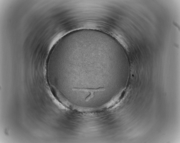 X0000097750944200803211649