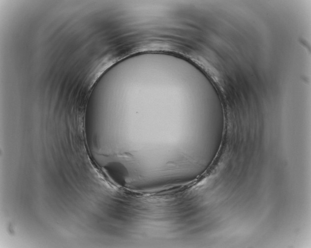 X0000097750945200803211649