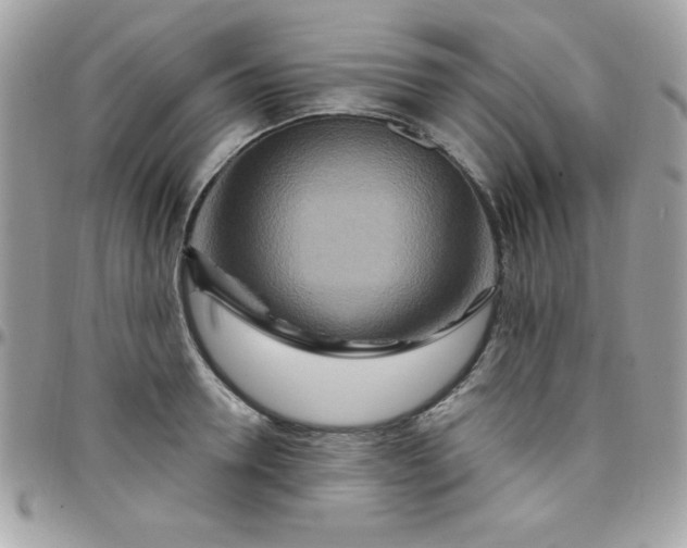 X0000097750946200803211649