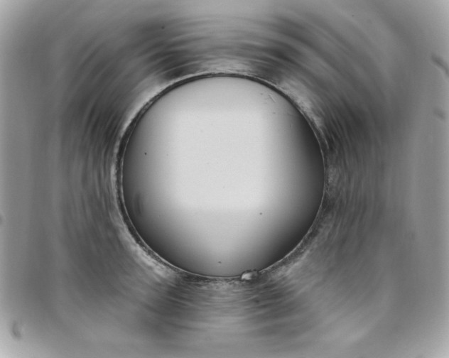 X0000097750947200803211649