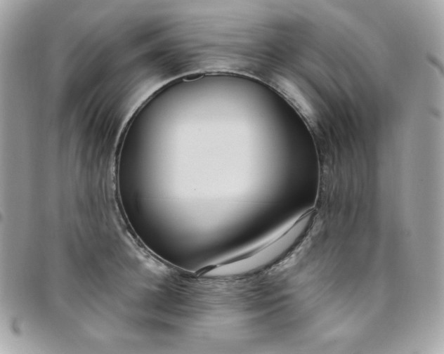 X0000097750948200803211649