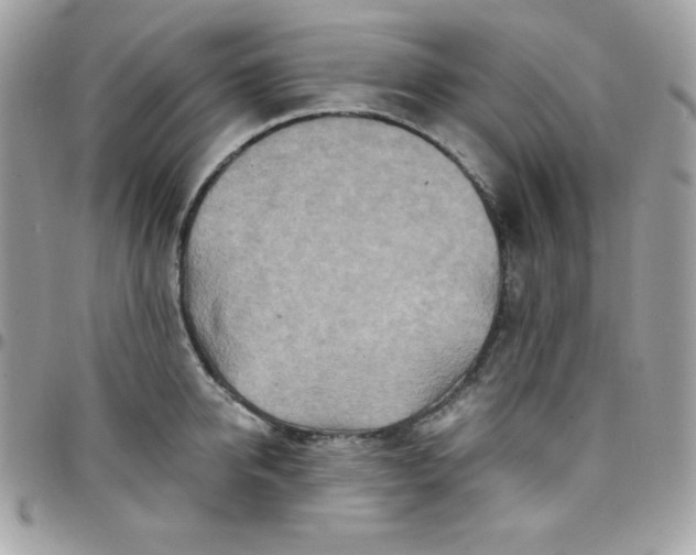 X0000097750950200803211649