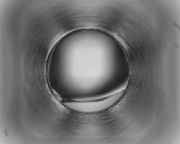 X0000097750951200803211649