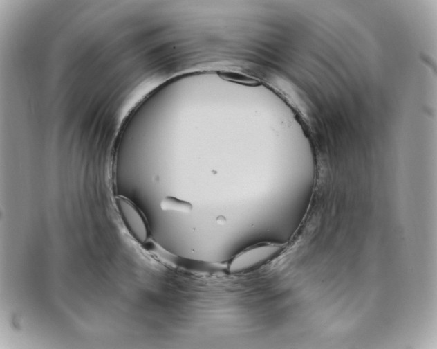 X0000097750952200803211649