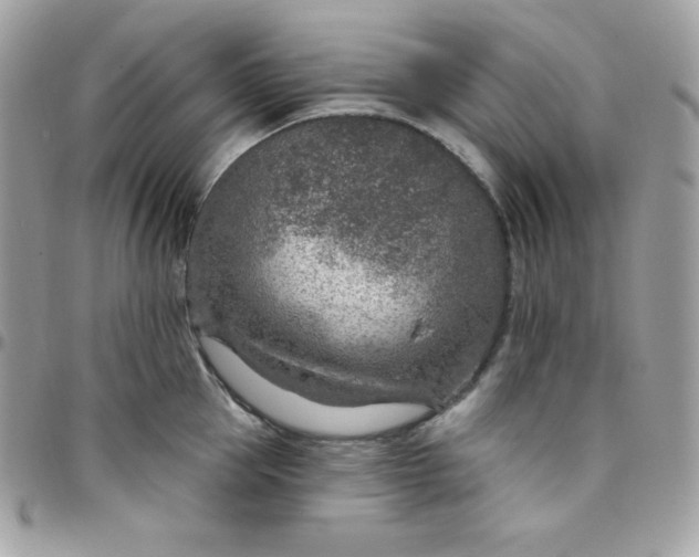 X0000097750953200803211649