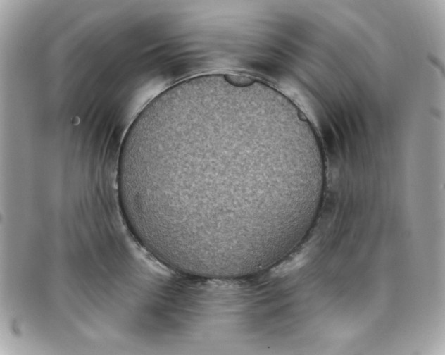 X0000097750954200803211649