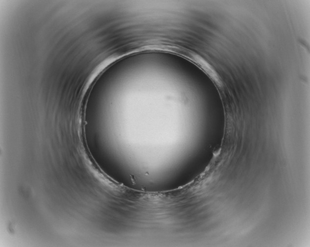 X0000097750955200803211649