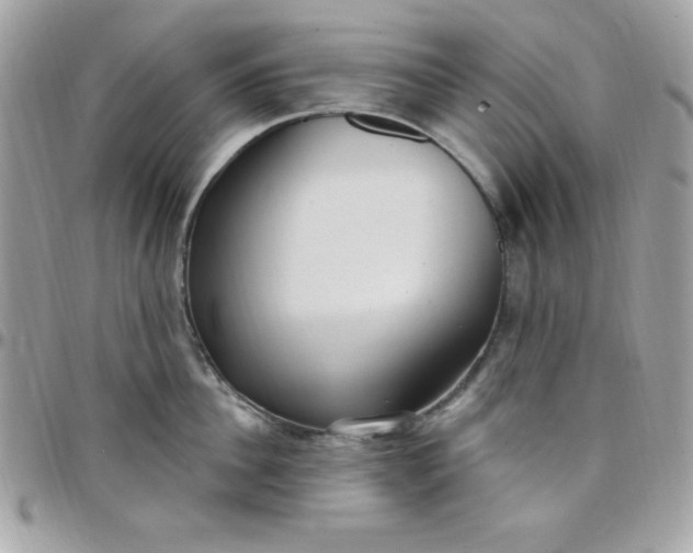 X0000097750956200803211649