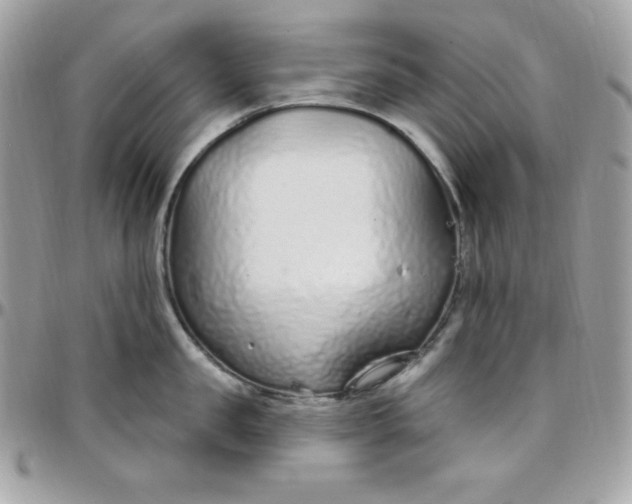 X0000097750957200803211649