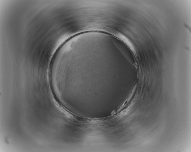 X0000097750958200803211649