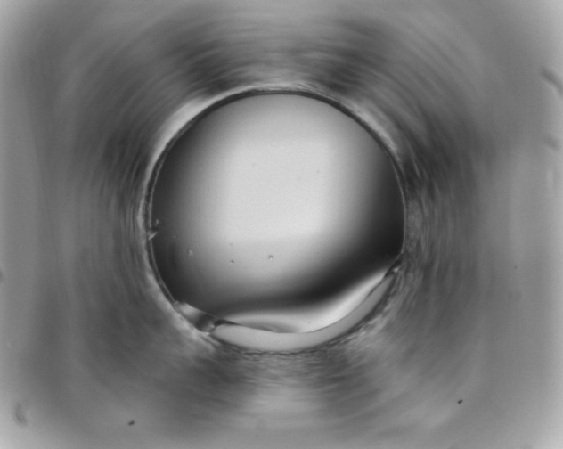 X0000097750959200803211649