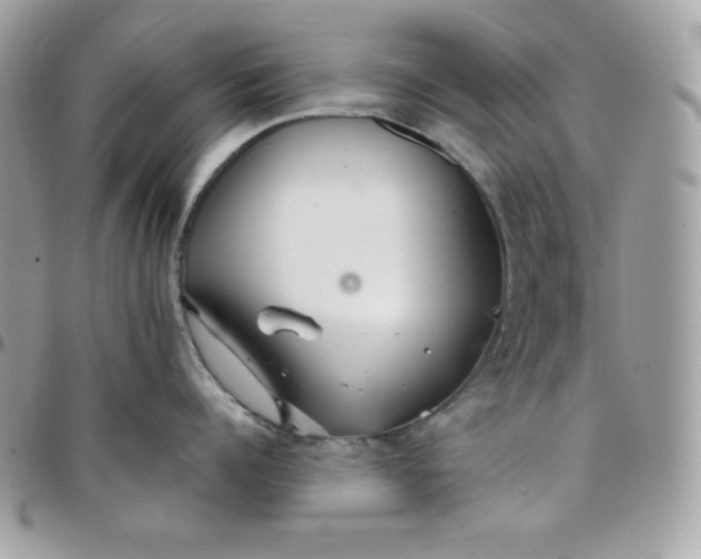 X0000097750960200803211649