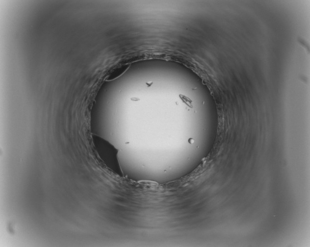 X0000097750961200803211648