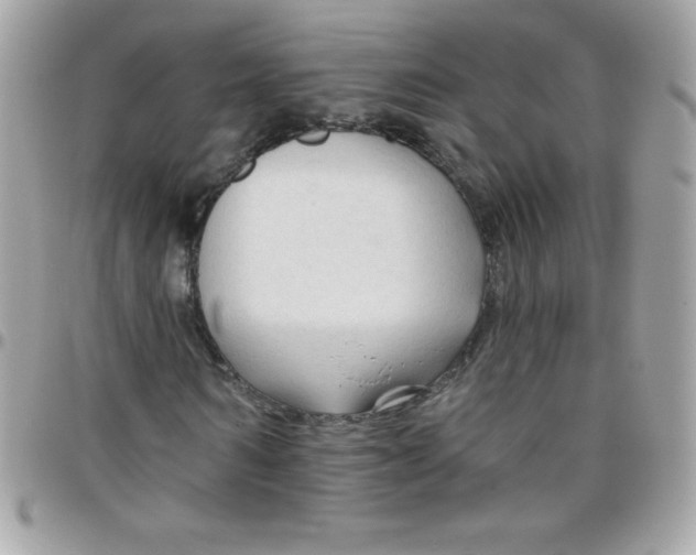 X0000097750962200803211648