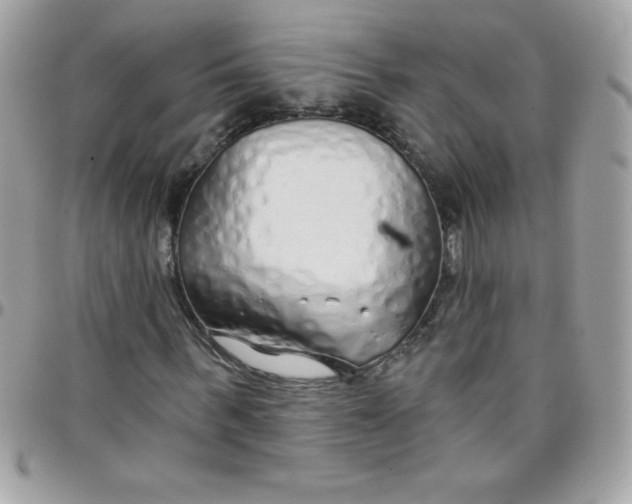 X0000097750963200803211648