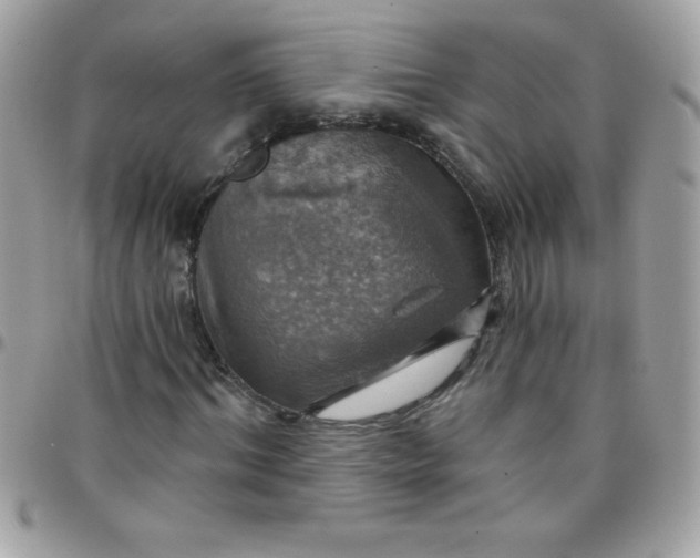 X0000097750964200803211648