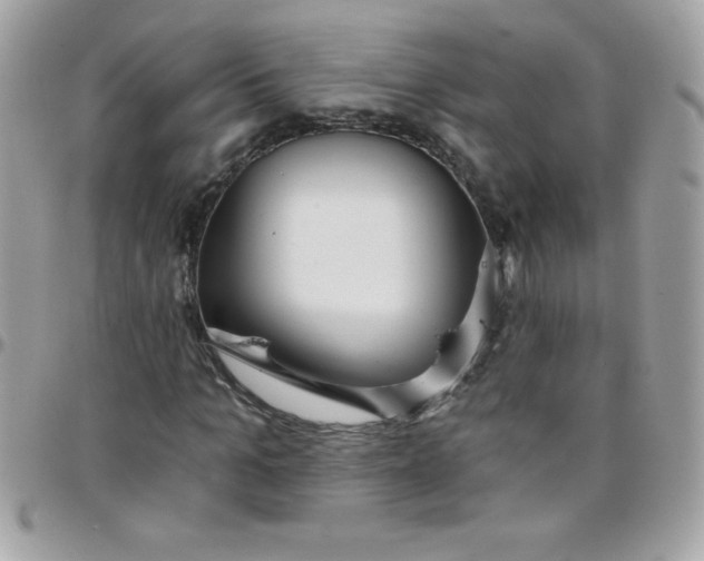 X0000097750965200803211648