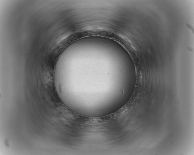 X0000097750966200803211648