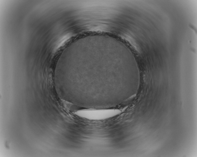 X0000097750968200803211648