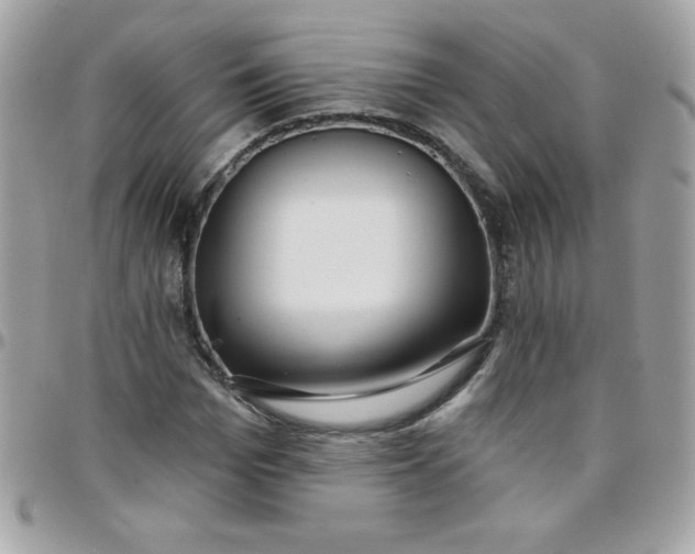 X0000097750969200803211648