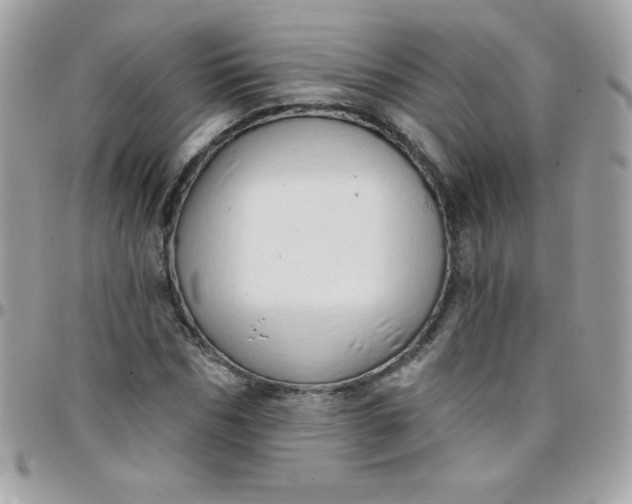 X0000097750970200803211648