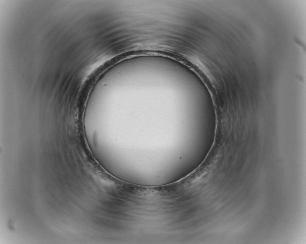 X0000097750971200803211648