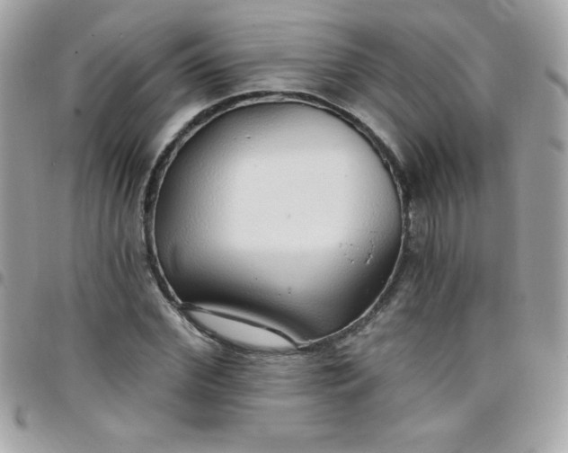 X0000097750972200803211648