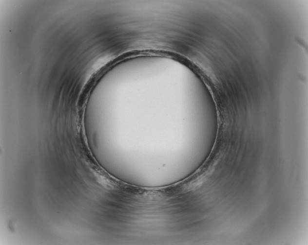 X0000097750974200803211648