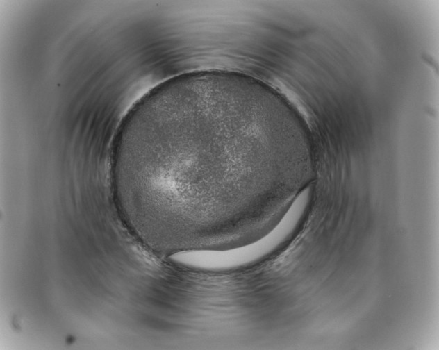 X0000097750975200803211648