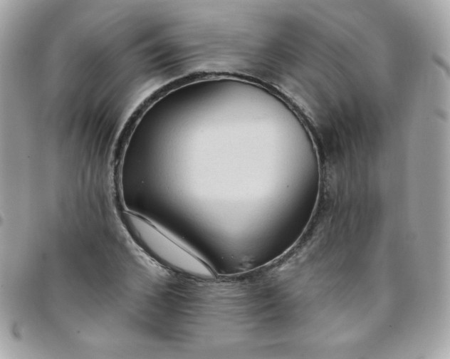 X0000097750976200803211648