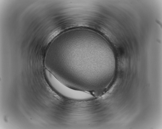 X0000097750977200803211648