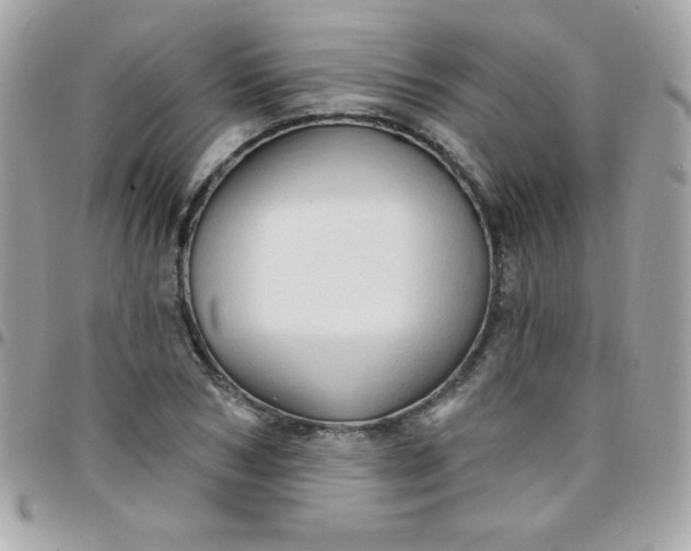 X0000097750978200803211648